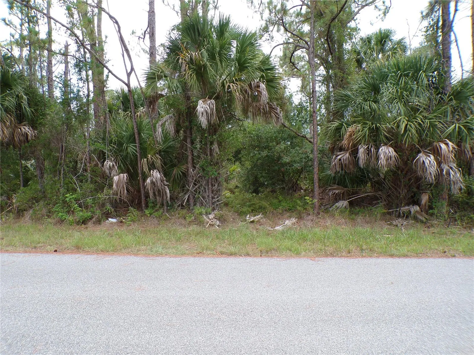 Lummus Street North Port FL 34286