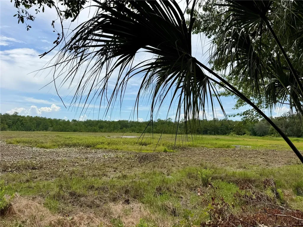 14120 NE 110th Avenue Road Fort Mc Coy FL 32134