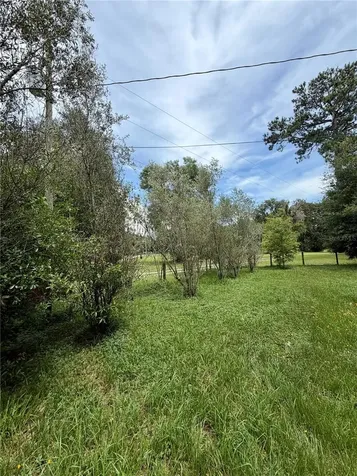 14120 NE 110th Avenue Road Fort Mc Coy FL 32134