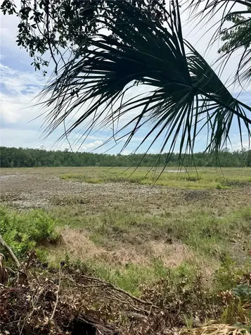 14120 NE 110th Avenue Road Fort Mc Coy FL 32134