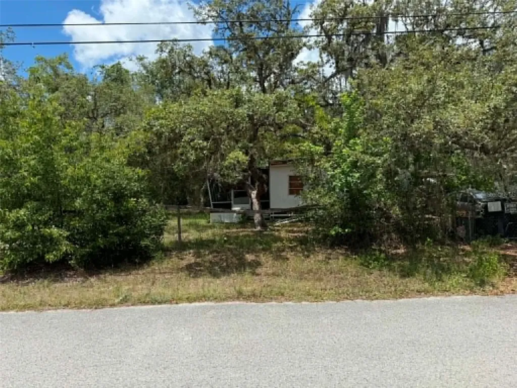 10051 Waddell Street New Port Richey FL 34654