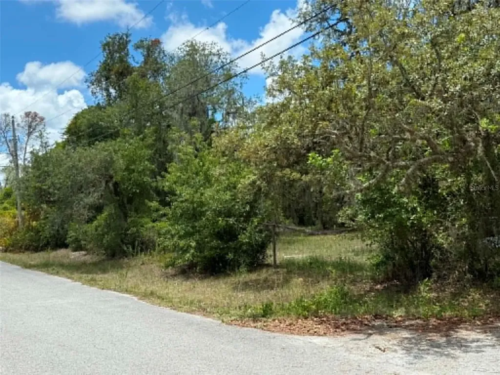 10051 Waddell Street New Port Richey FL 34654