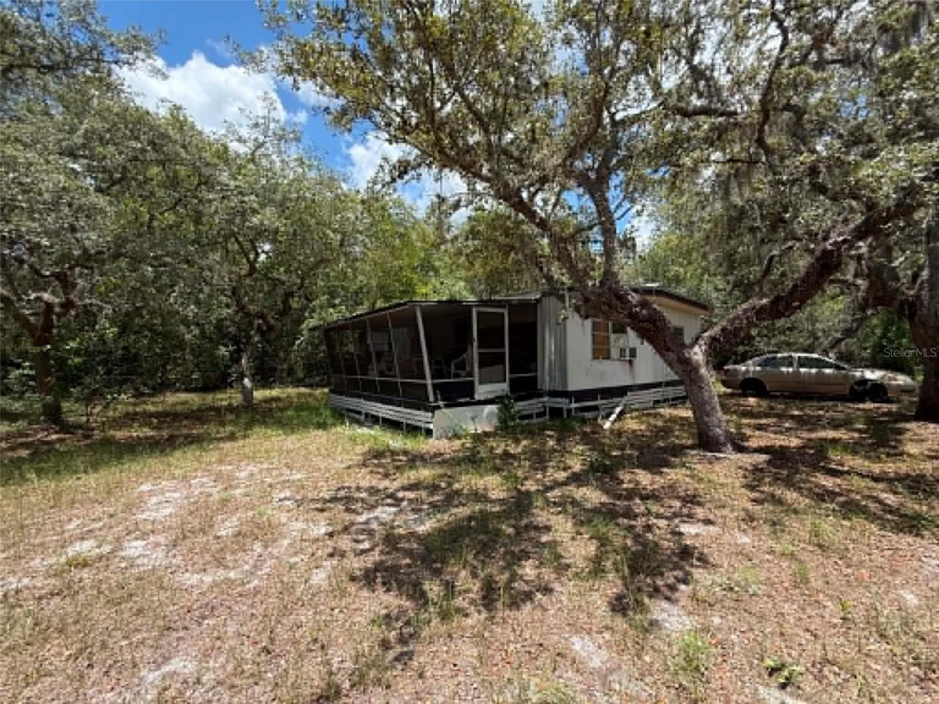 10051 Waddell Street New Port Richey FL 34654