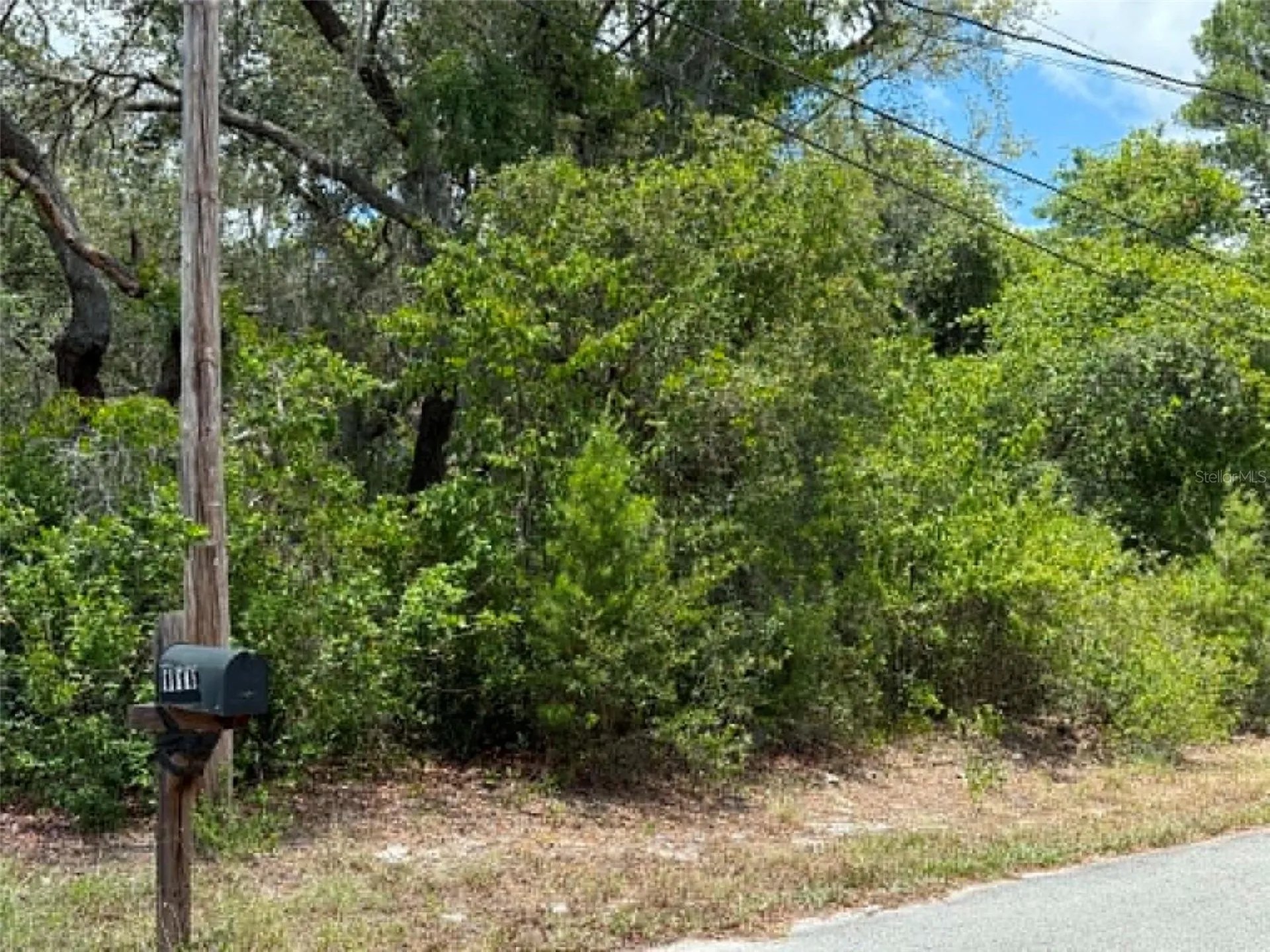 10051 Waddell Street New Port Richey FL 34654