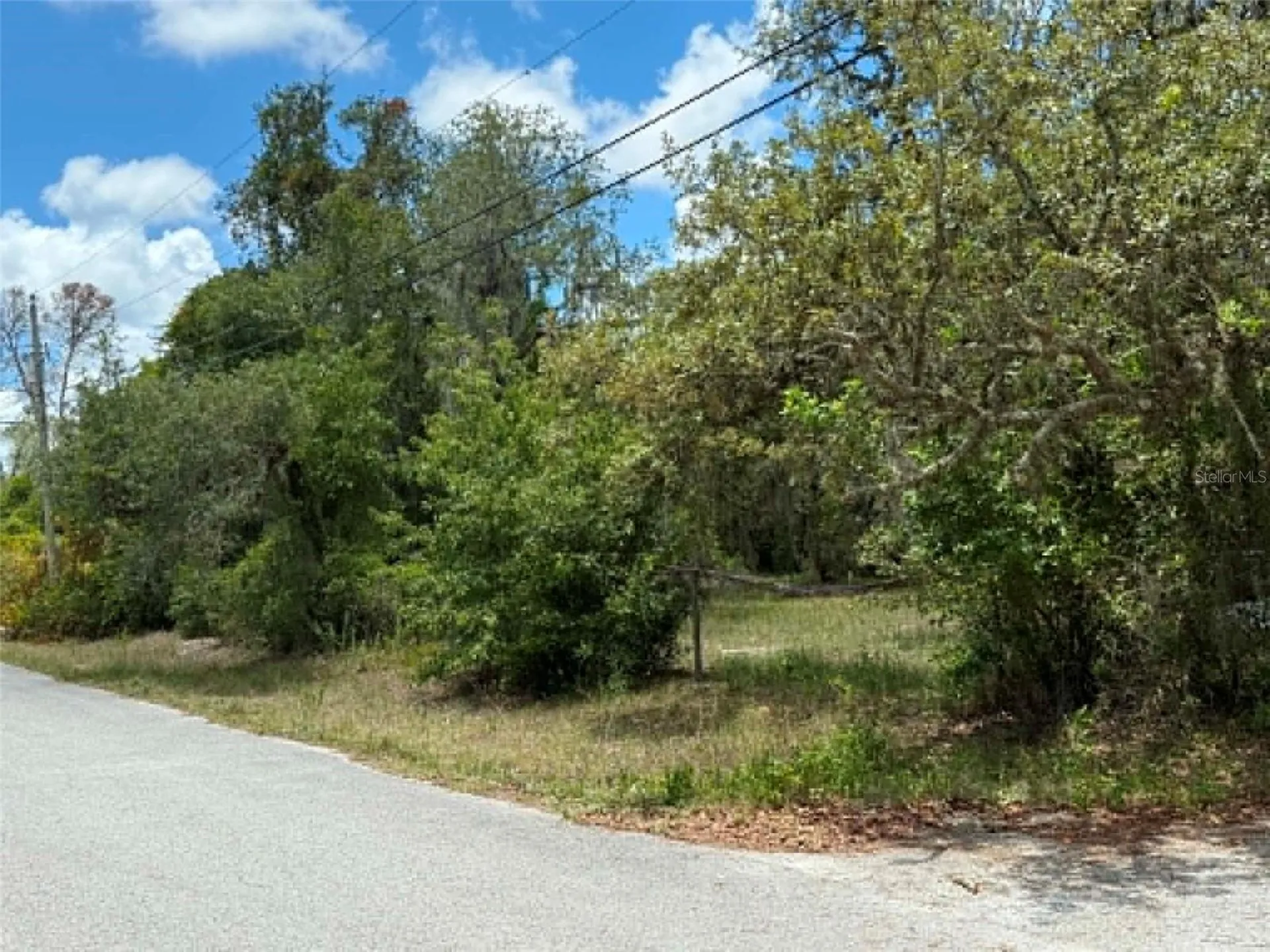 10051 Waddell Street New Port Richey FL 34654