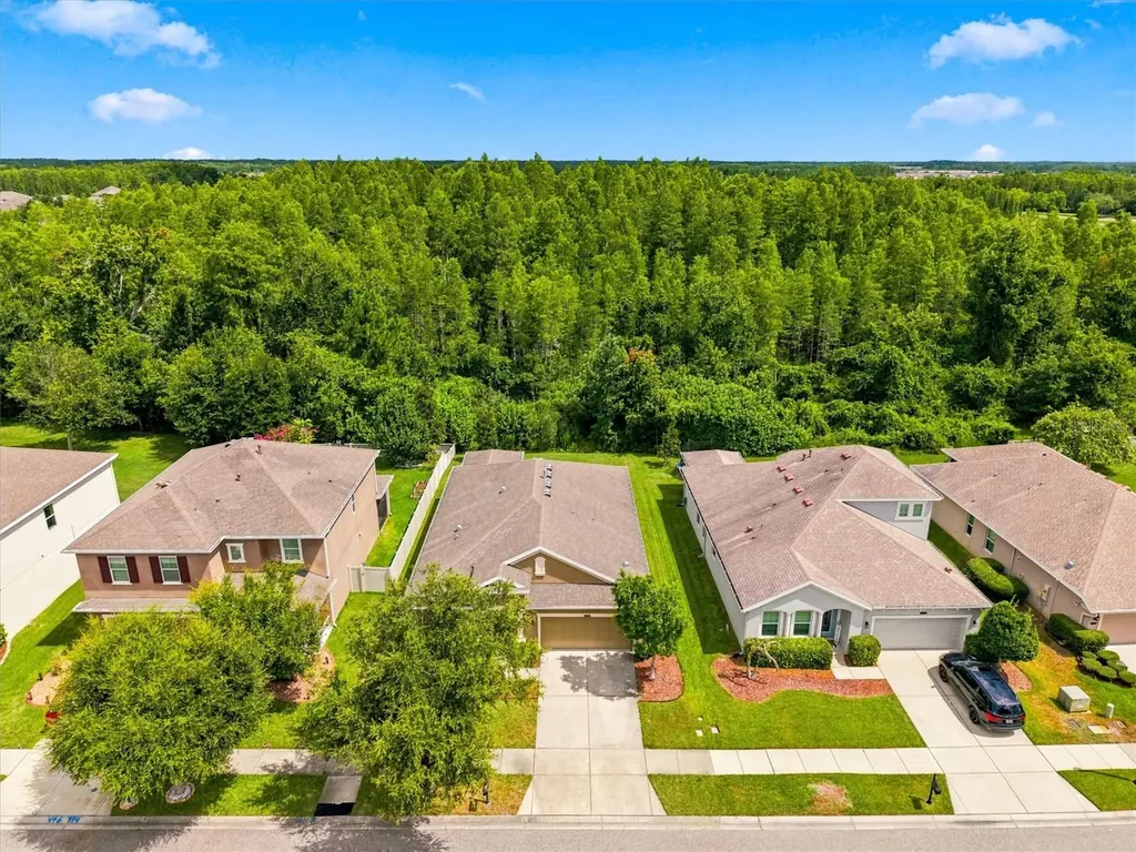 21613 Southern Charm Drive Land O Lakes FL 34637