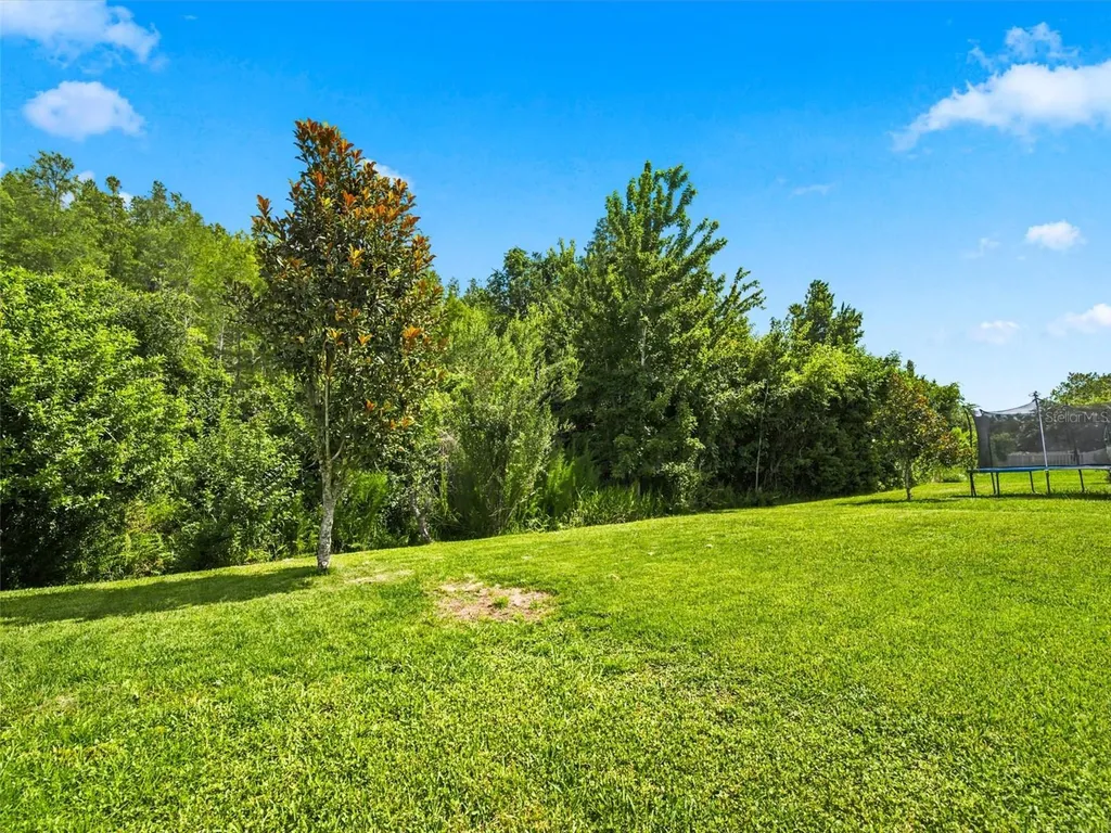 21613 Southern Charm Drive Land O Lakes FL 34637