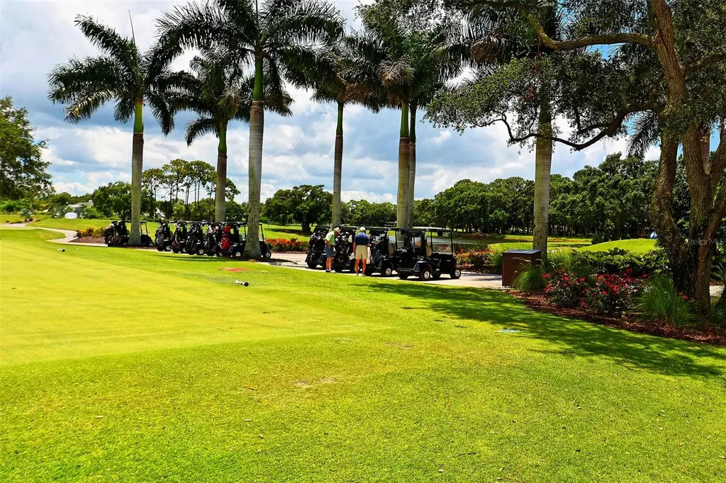 916 Macewen Drive Osprey FL 34229