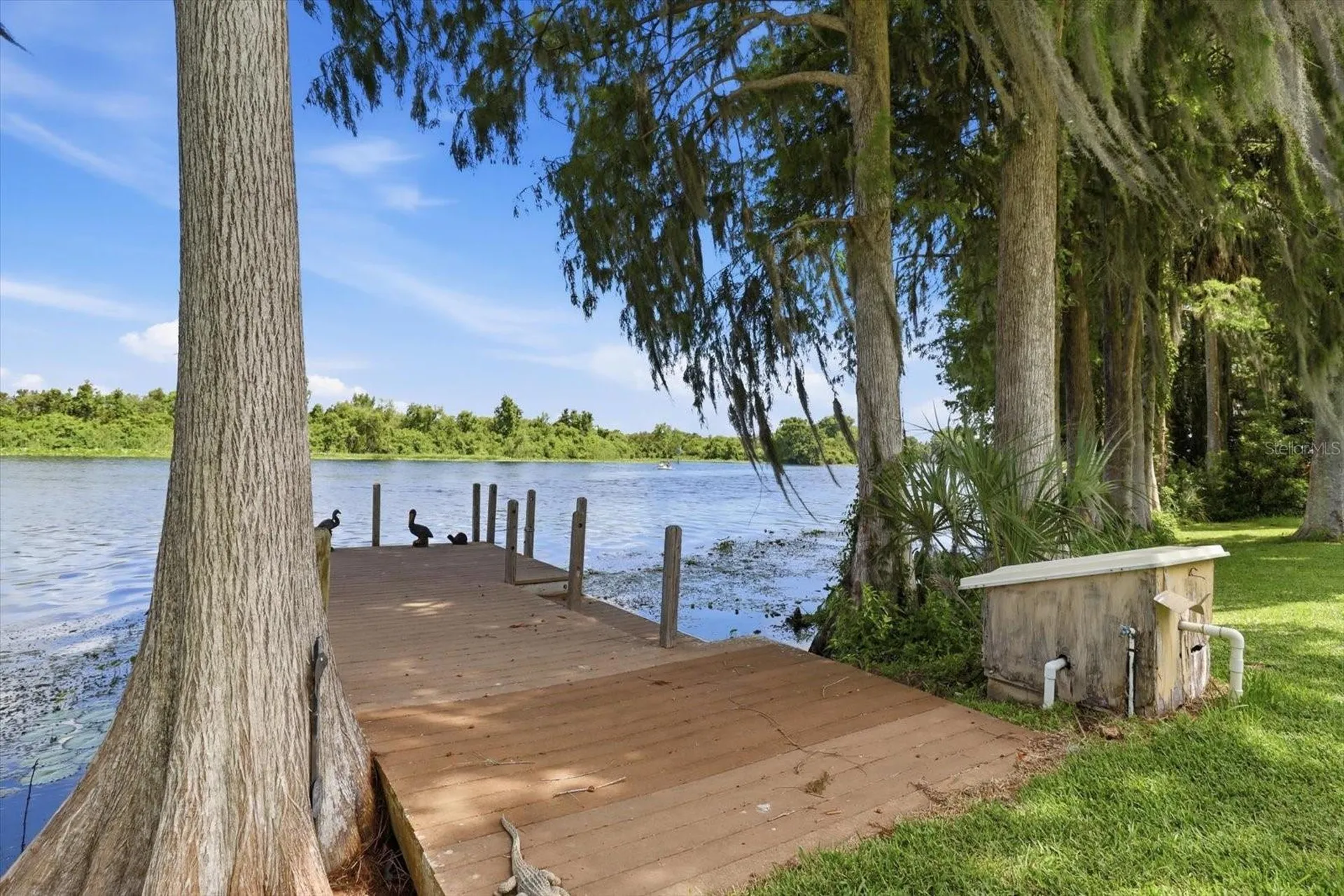 4099 W Ridge Lane Dunnellon FL 34433