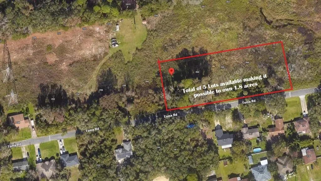 262 Toms Road Debary FL 32713