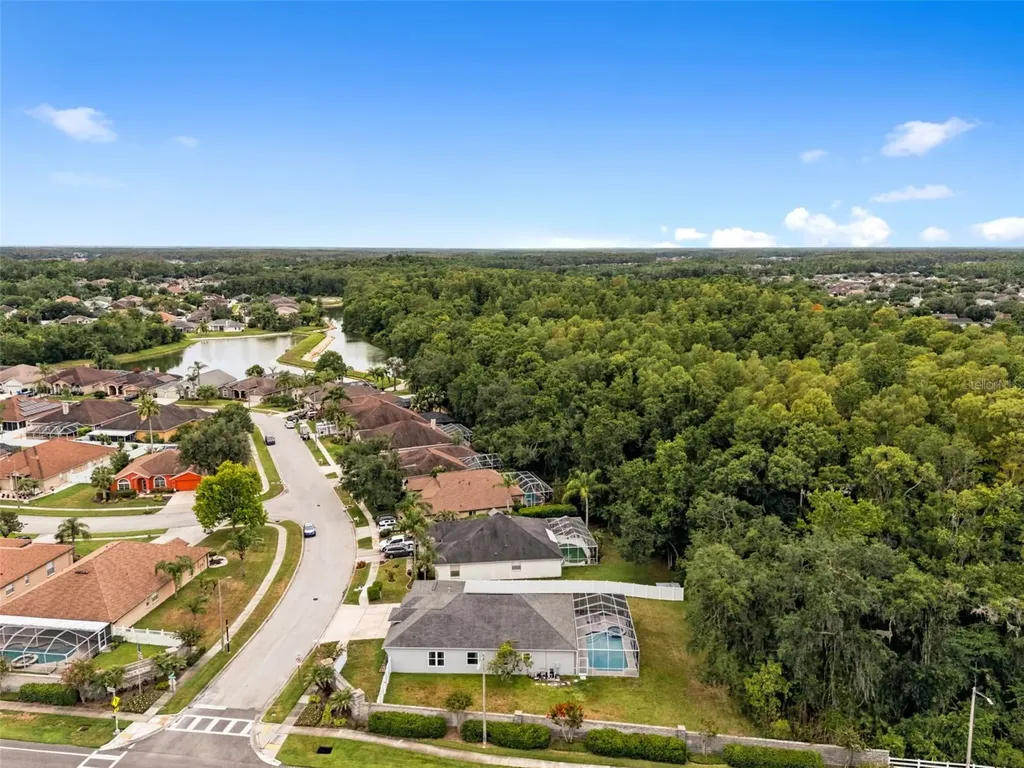 29432 Forest Glen Drive Wesley Chapel FL 33543