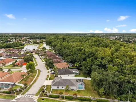 29432 Forest Glen Drive Wesley Chapel FL 33543