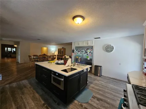 1607 Marty Drive Pierson FL 32180