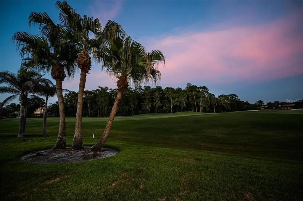 4995 Camberley Lane Oldsmar FL 34677