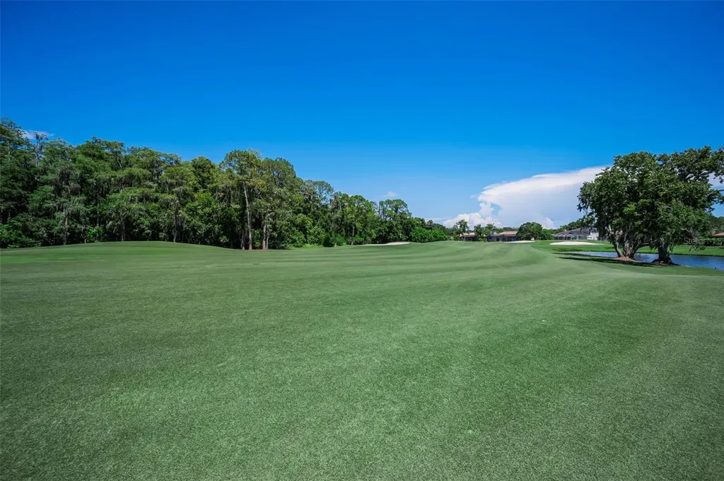 4995 Camberley Lane Oldsmar FL 34677