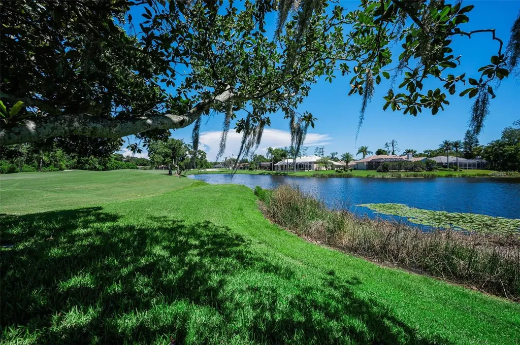 4995 Camberley Lane Oldsmar FL 34677