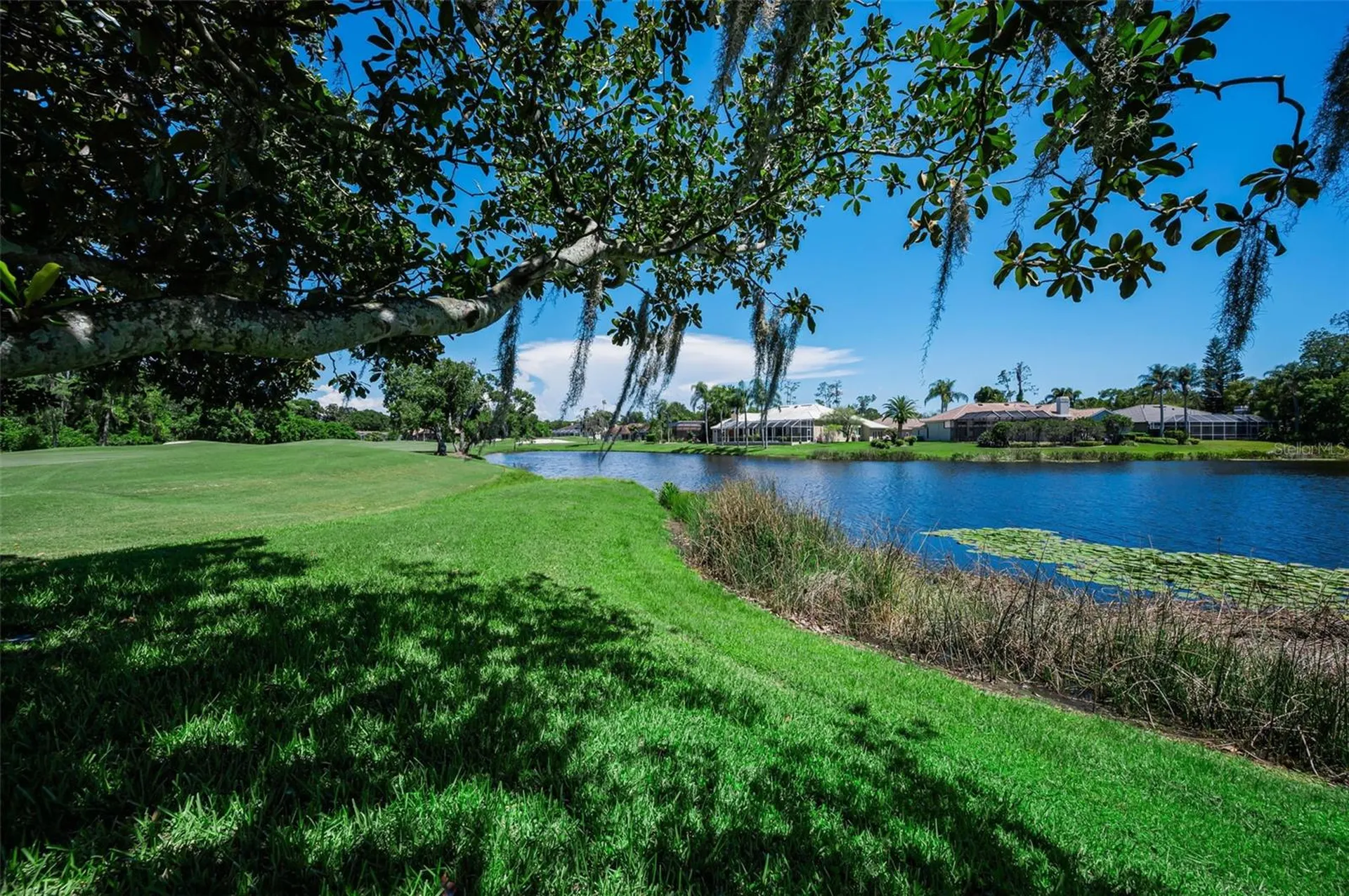 4995 Camberley Lane Oldsmar FL 34677
