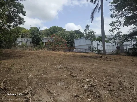 144 Carretera 3 Ceiba PR 00735