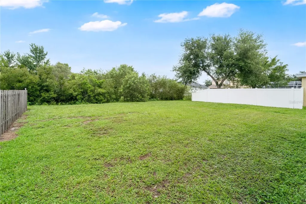 9221 Lost Mill Drive Land O Lakes FL 34638