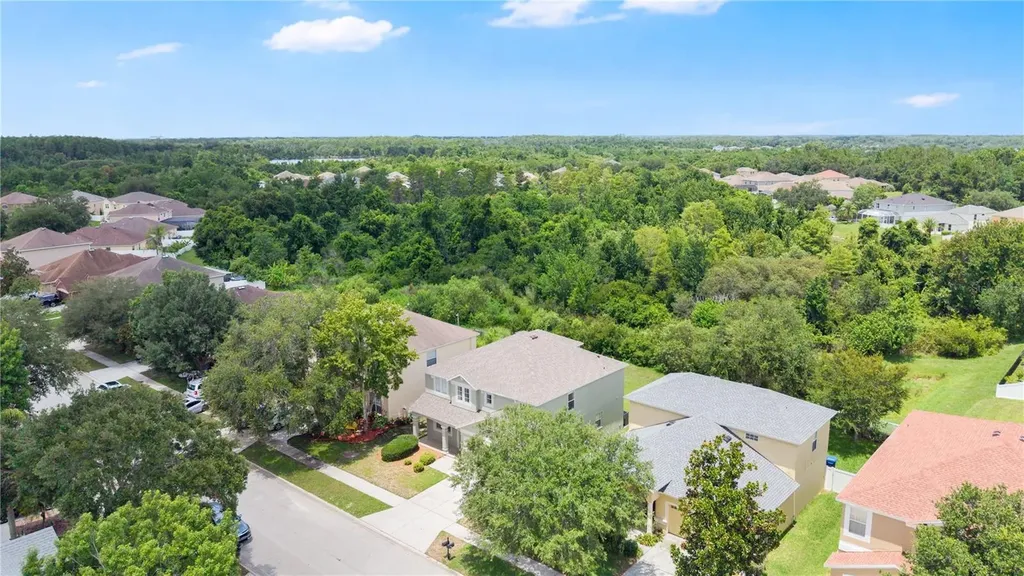 9221 Lost Mill Drive Land O Lakes FL 34638