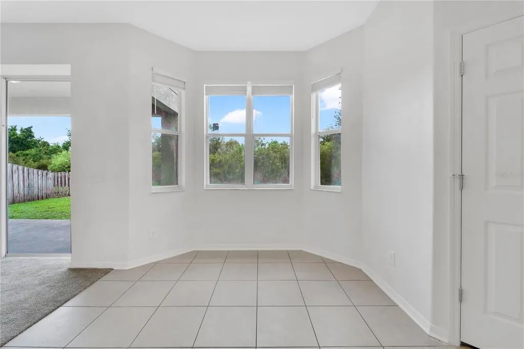 9221 Lost Mill Drive Land O Lakes FL 34638