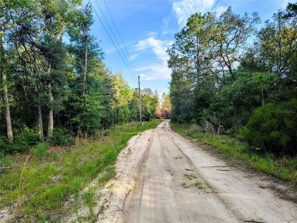 8821 NE 97th Court Bronson FL 32621