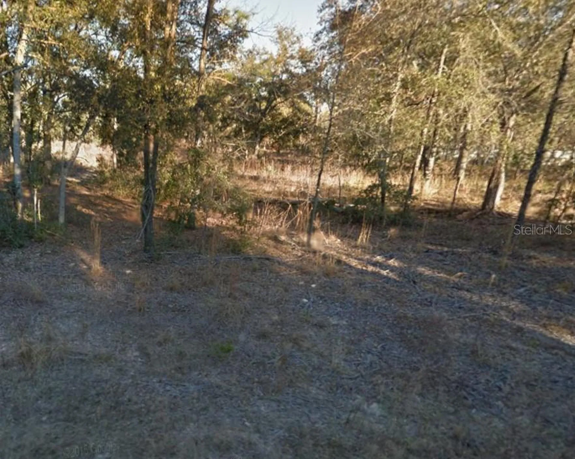 8821 NE 97th Court Bronson FL 32621