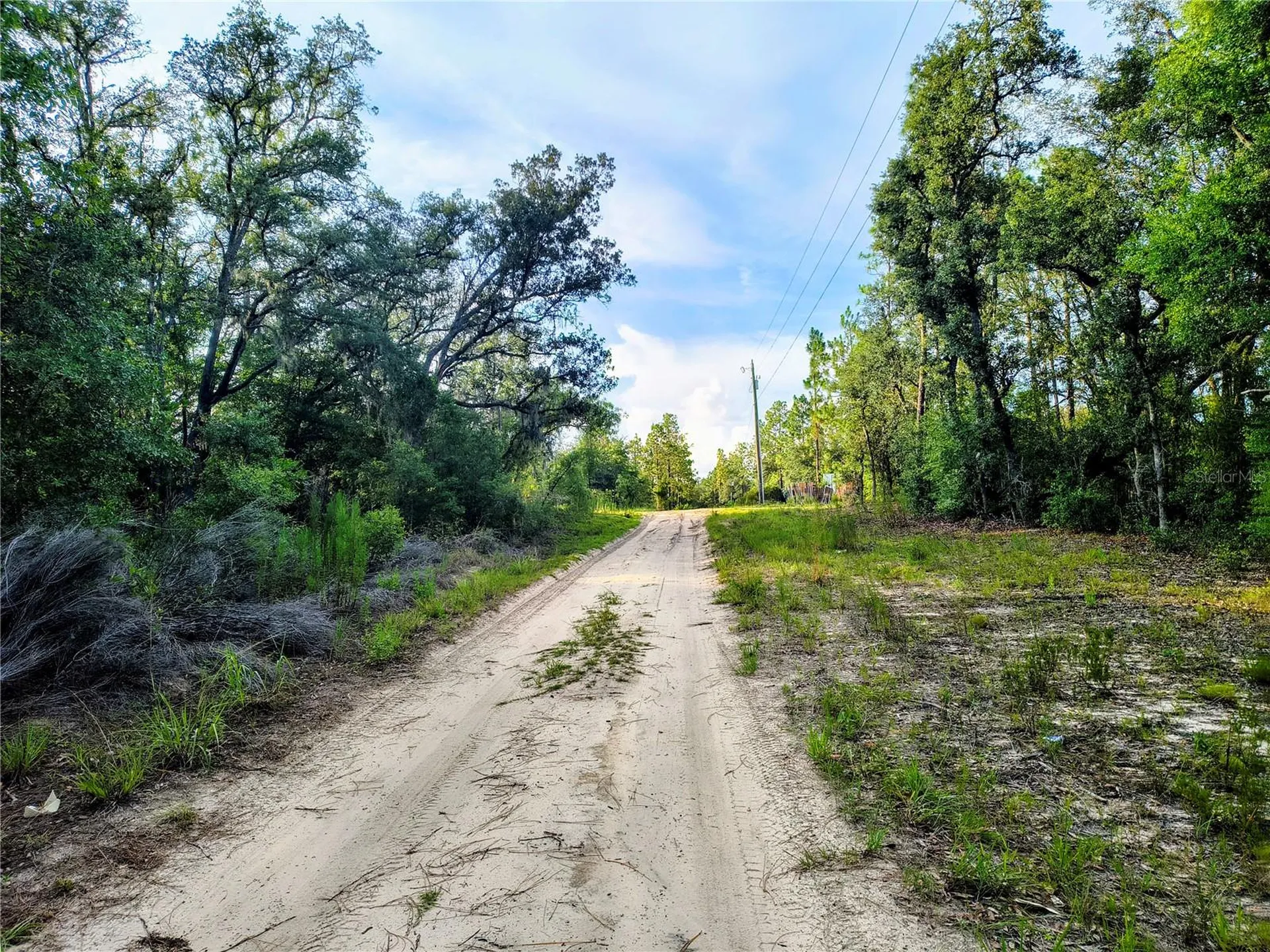 8821 NE 97th Court Bronson FL 32621