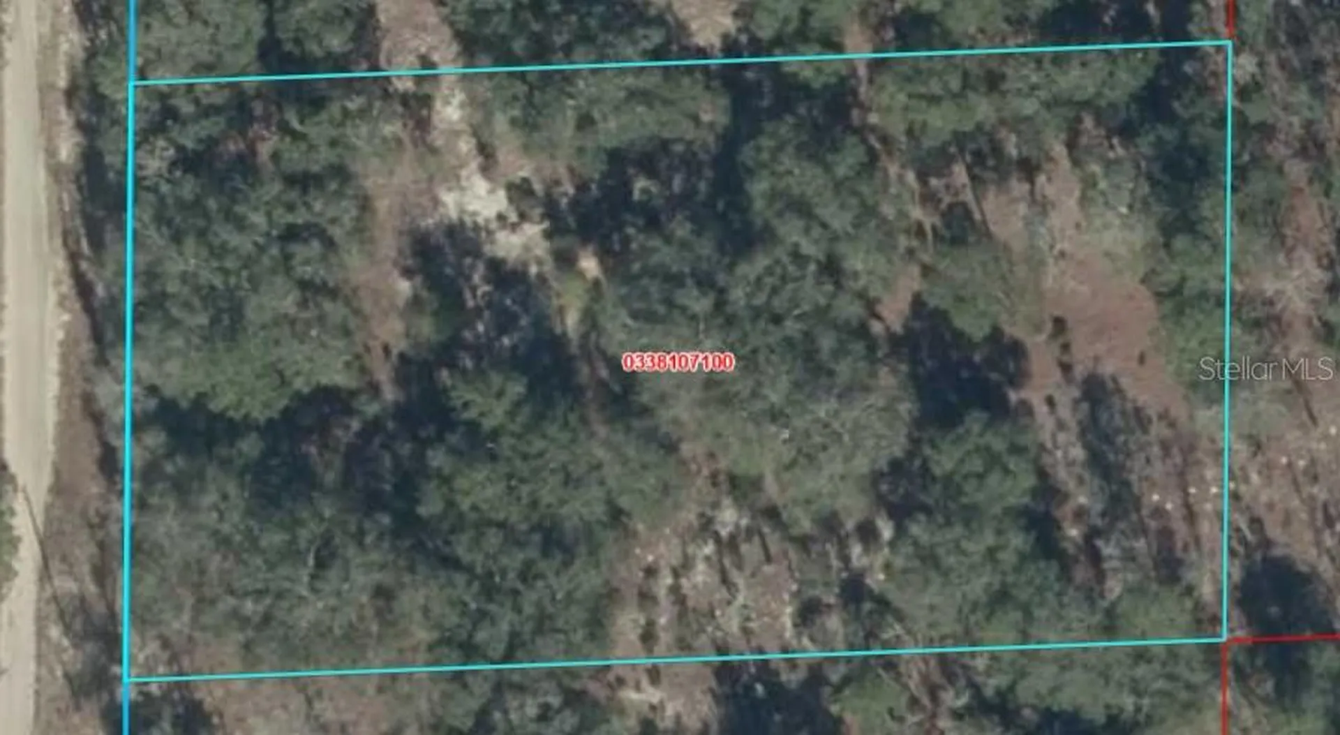 8821 NE 97th Court Bronson FL 32621