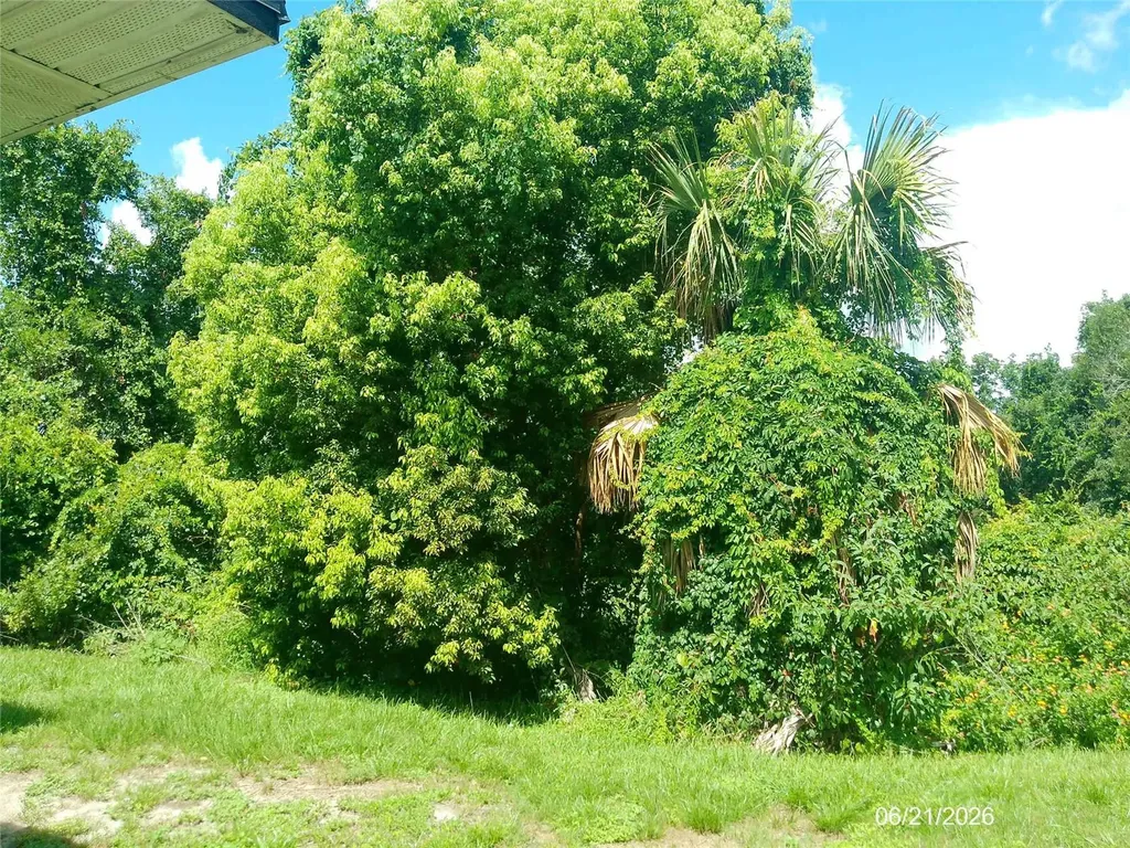 206 Mary Catherine Court Lakeland FL 33809
