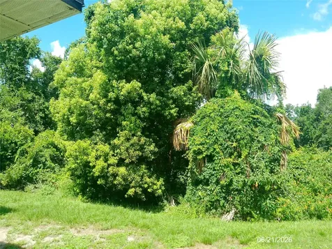 206 Mary Catherine Court Lakeland FL 33809