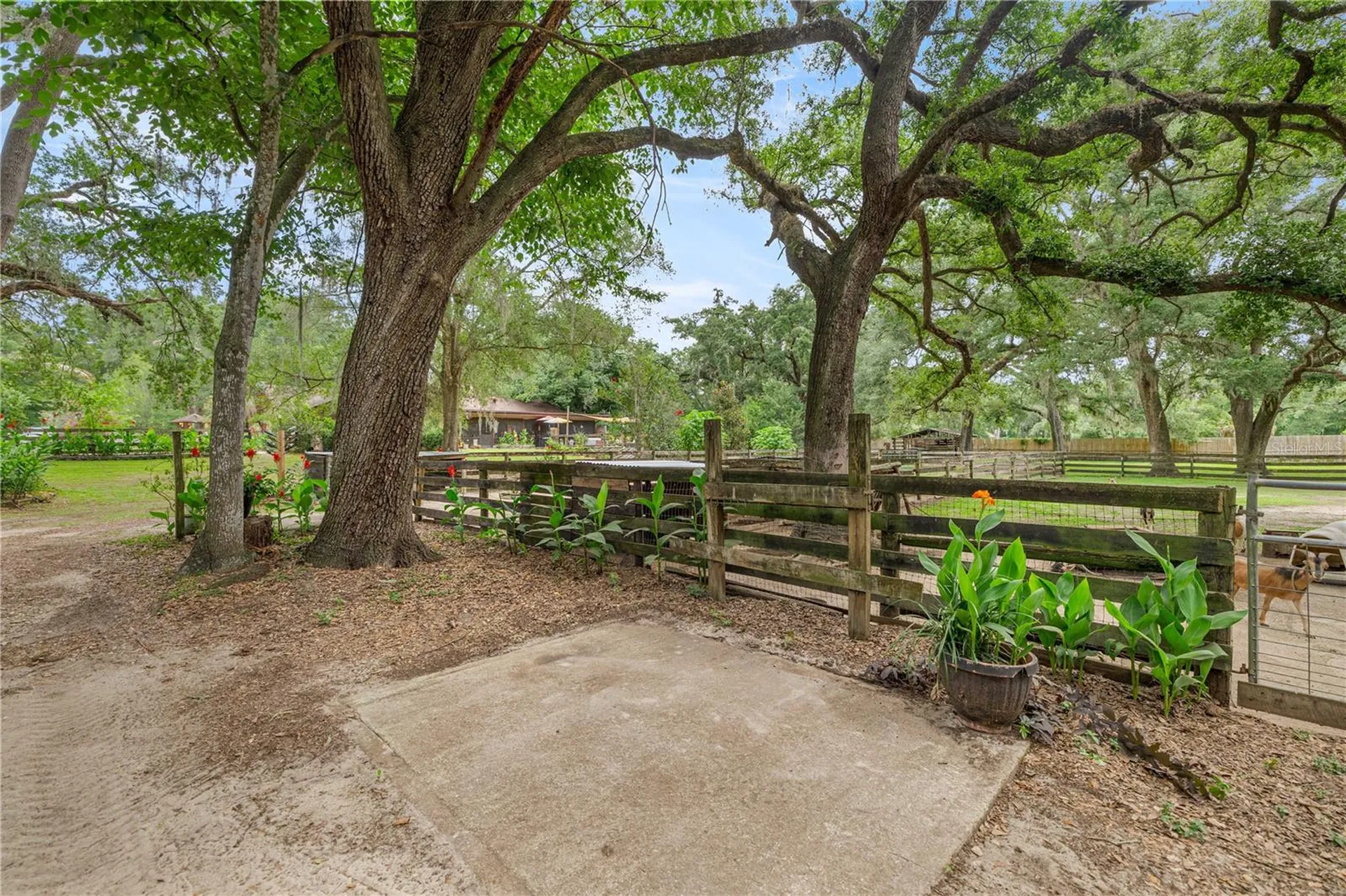 4556 E View Top Lane Inverness FL 34452