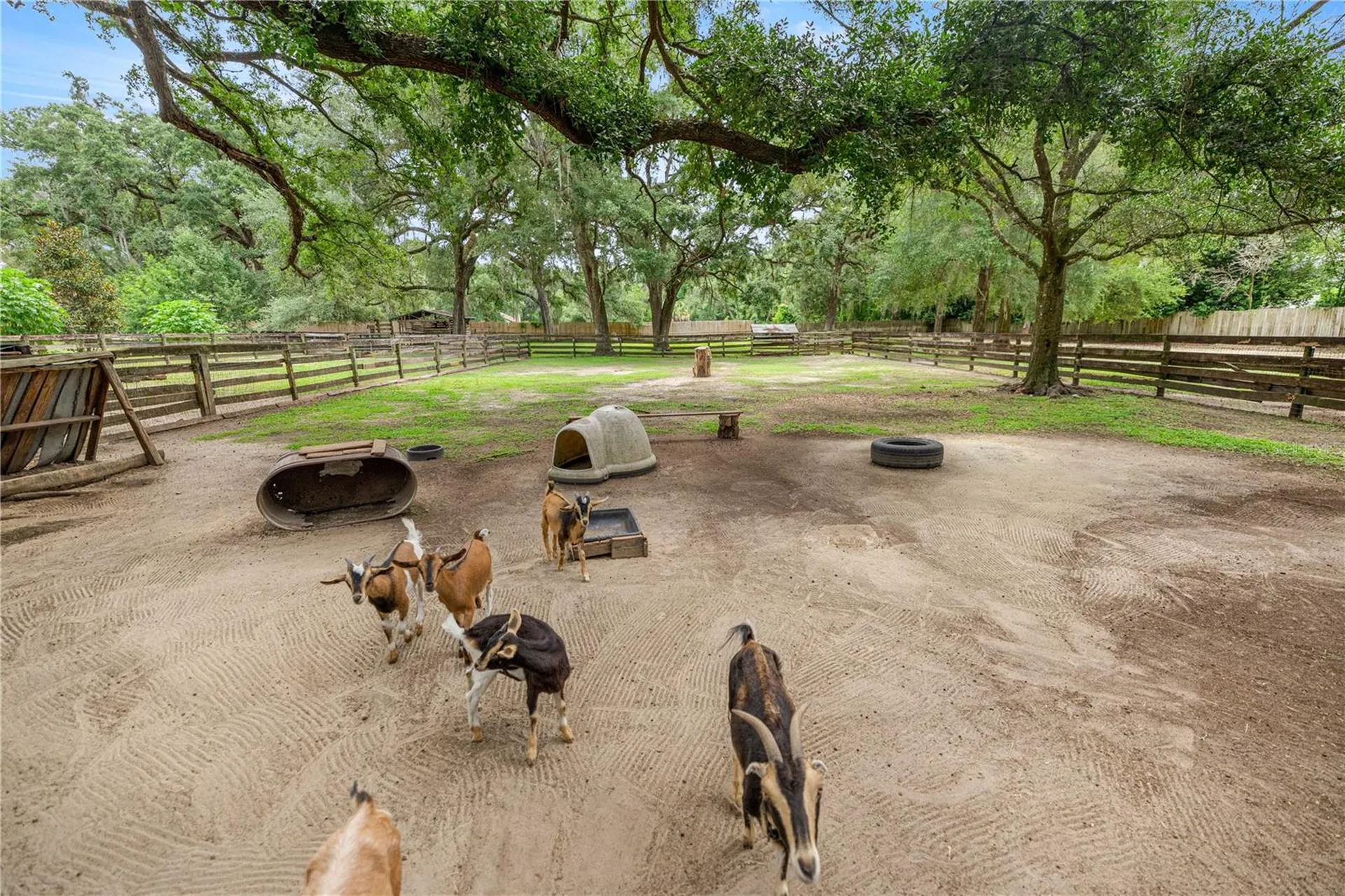 4556 E View Top Lane Inverness FL 34452
