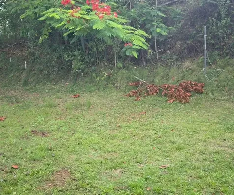 Carr 456 Km 1.3 Int Barrio Guajataca Sector Puertos Camuy PR 00627