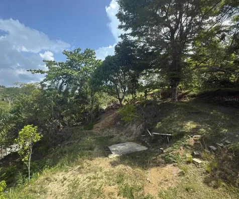 Carr 456 Km 1.3 Int Barrio Guajataca Sector Puertos Camuy PR 00627