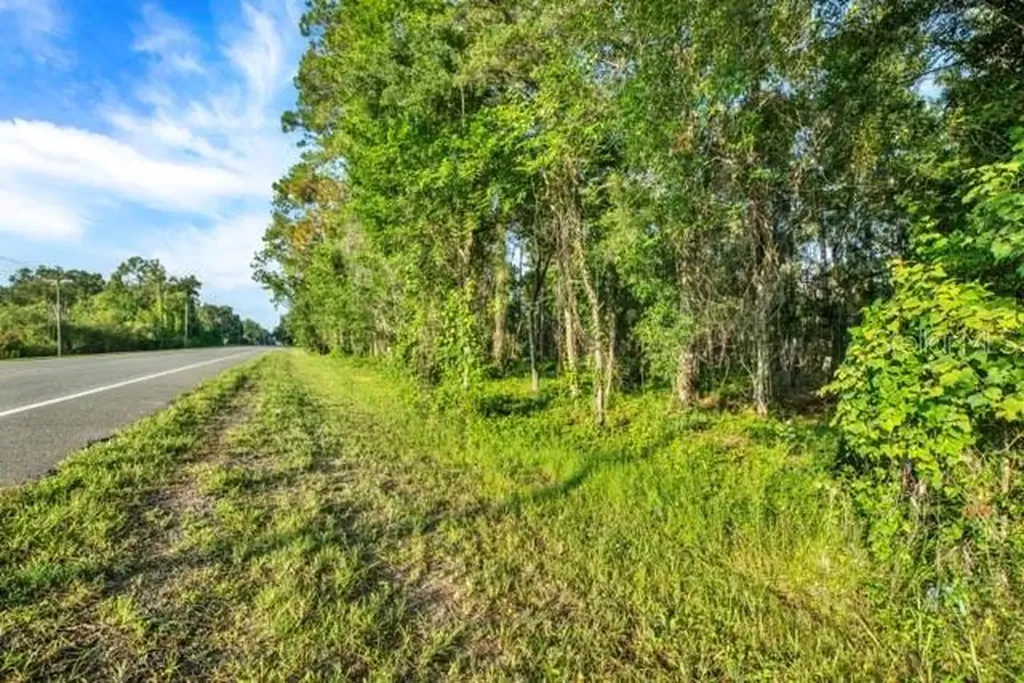 0 Treiman Boulevard Webster FL 33597