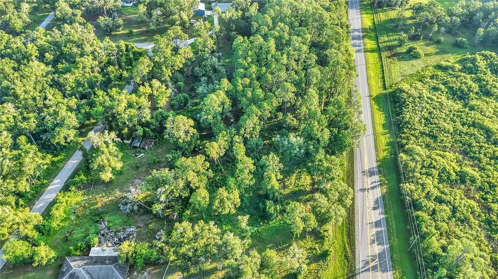 0 Treiman Boulevard Webster FL 33597