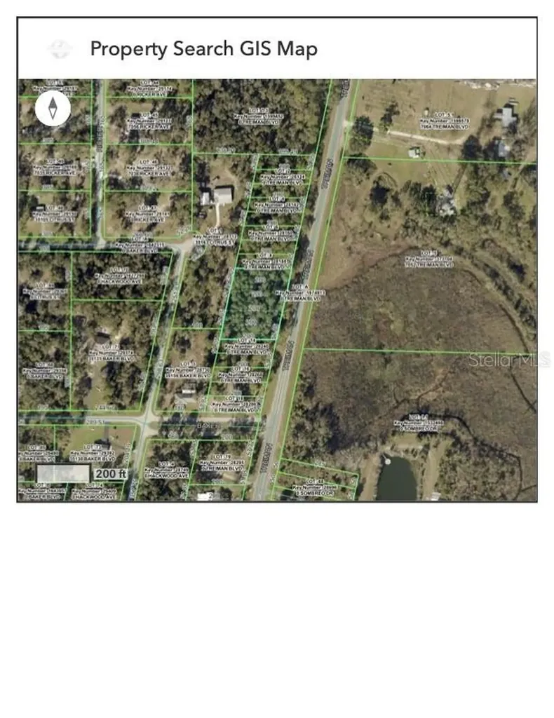 0 Treiman Boulevard Webster FL 33597