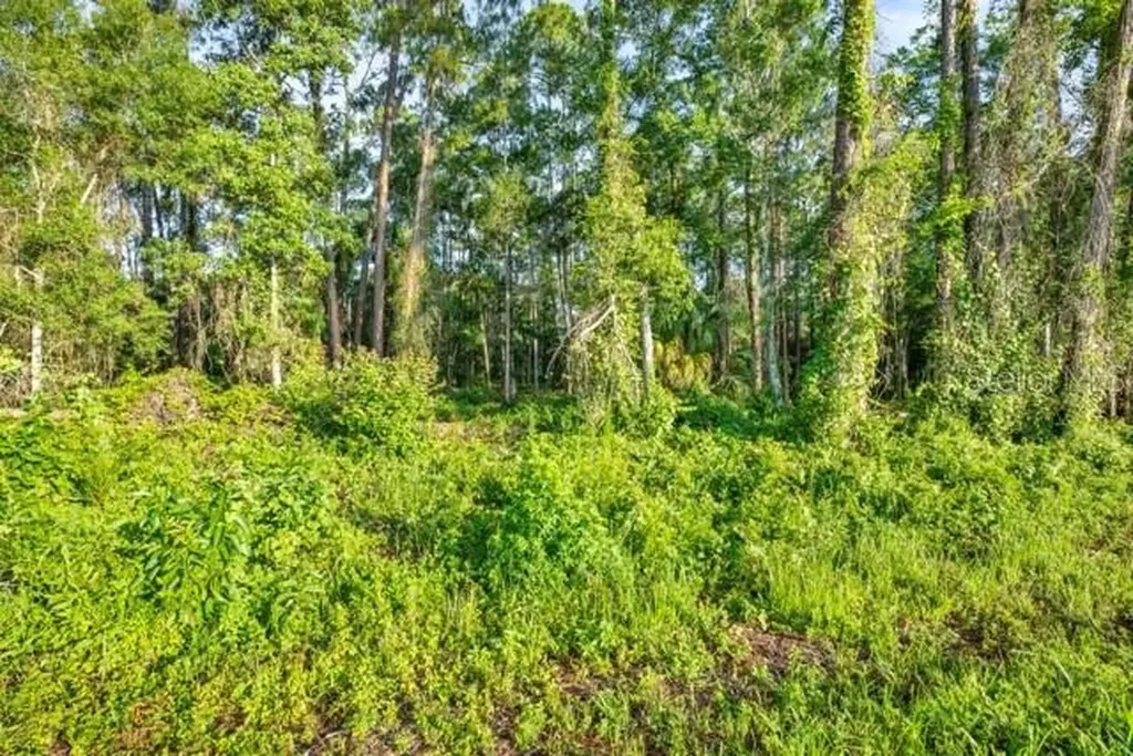 0 Treiman Boulevard Webster FL 33597