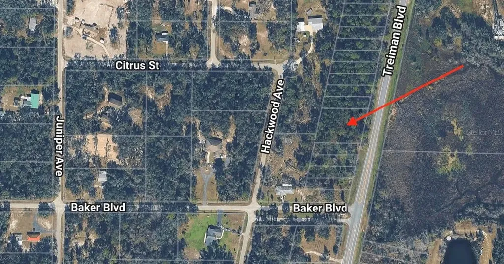 0 Treiman Boulevard Webster FL 33597