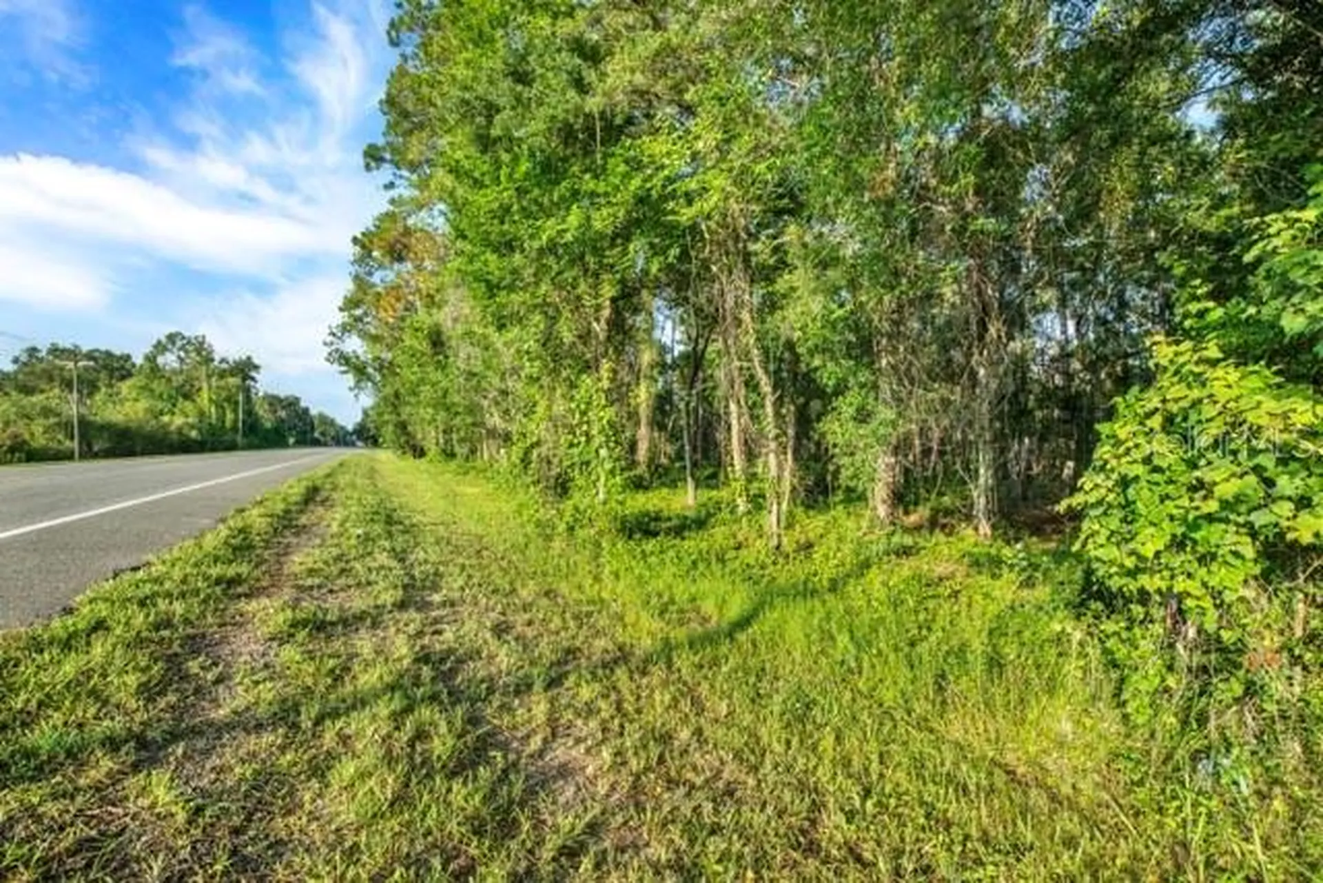 0 Treiman Boulevard Webster FL 33597