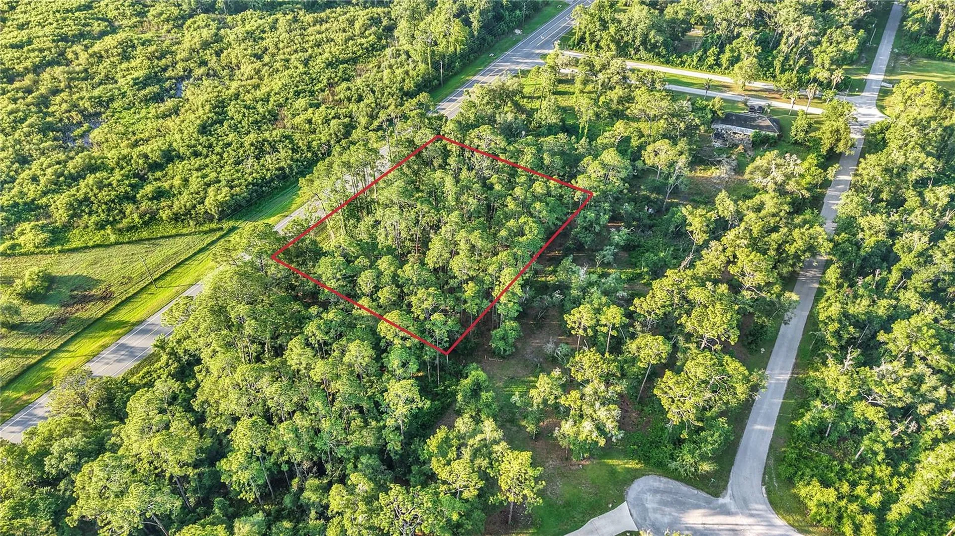 0 Treiman Boulevard Webster FL 33597