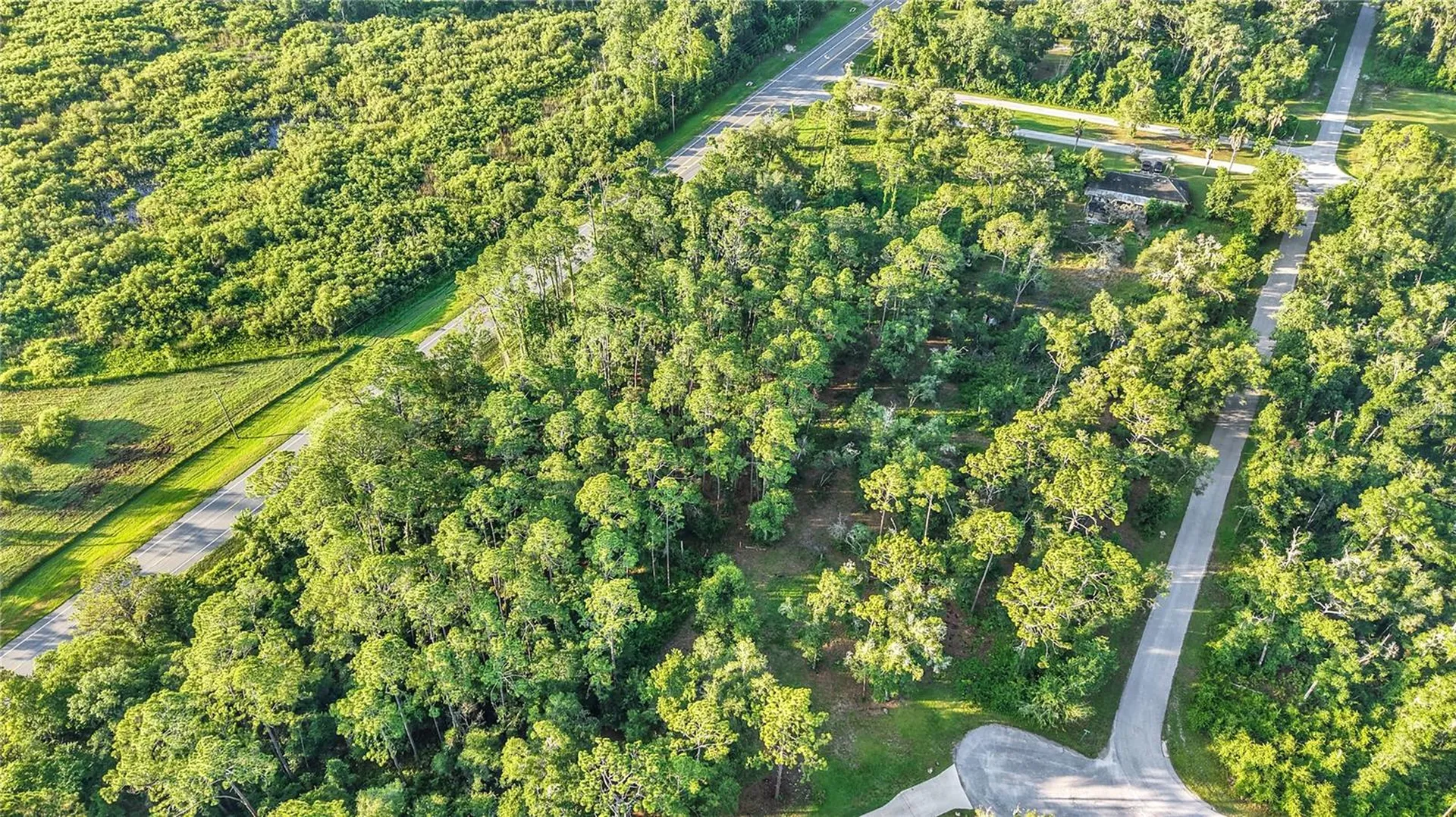 0 Treiman Boulevard Webster FL 33597