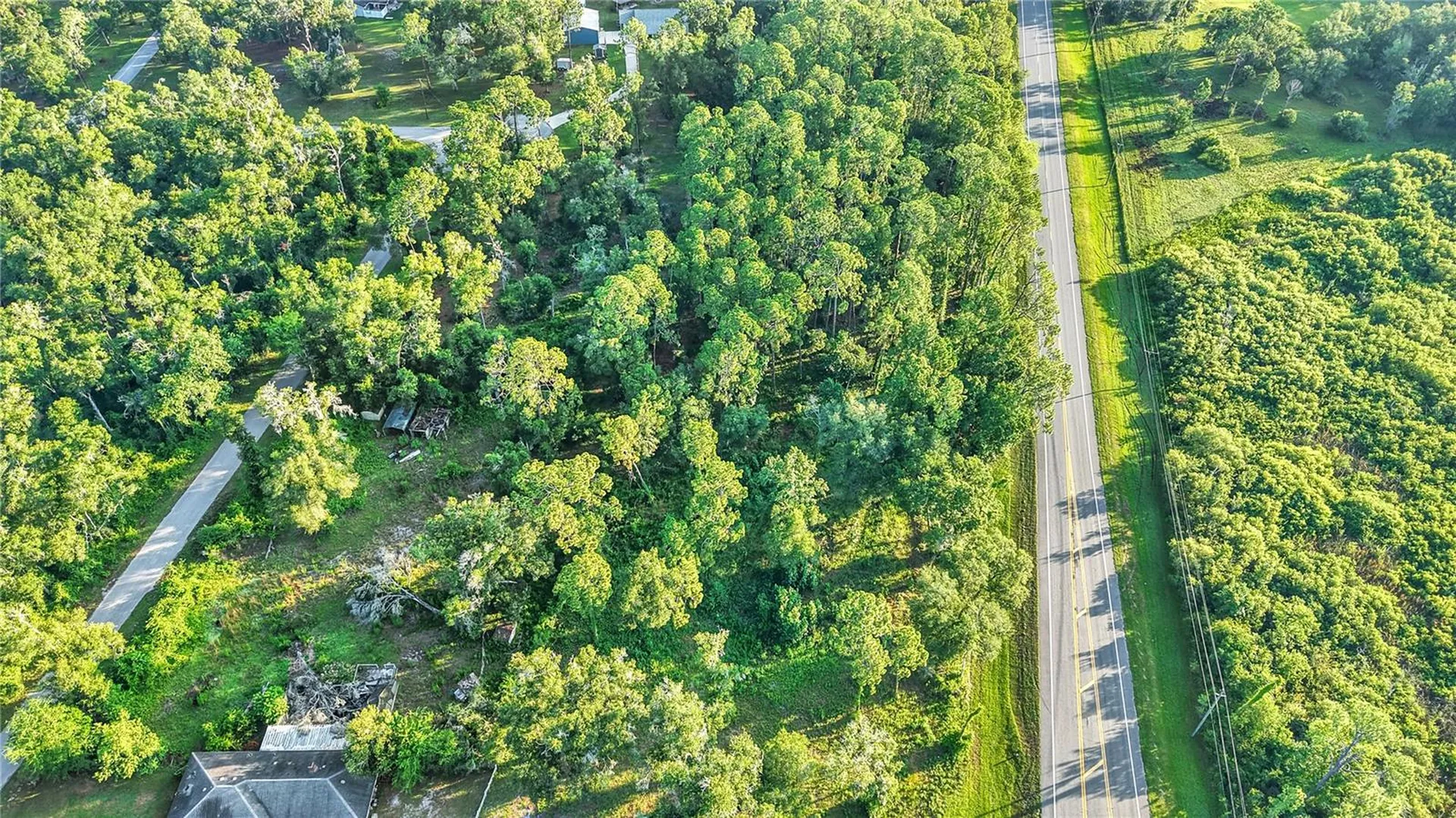 0 Treiman Boulevard Webster FL 33597