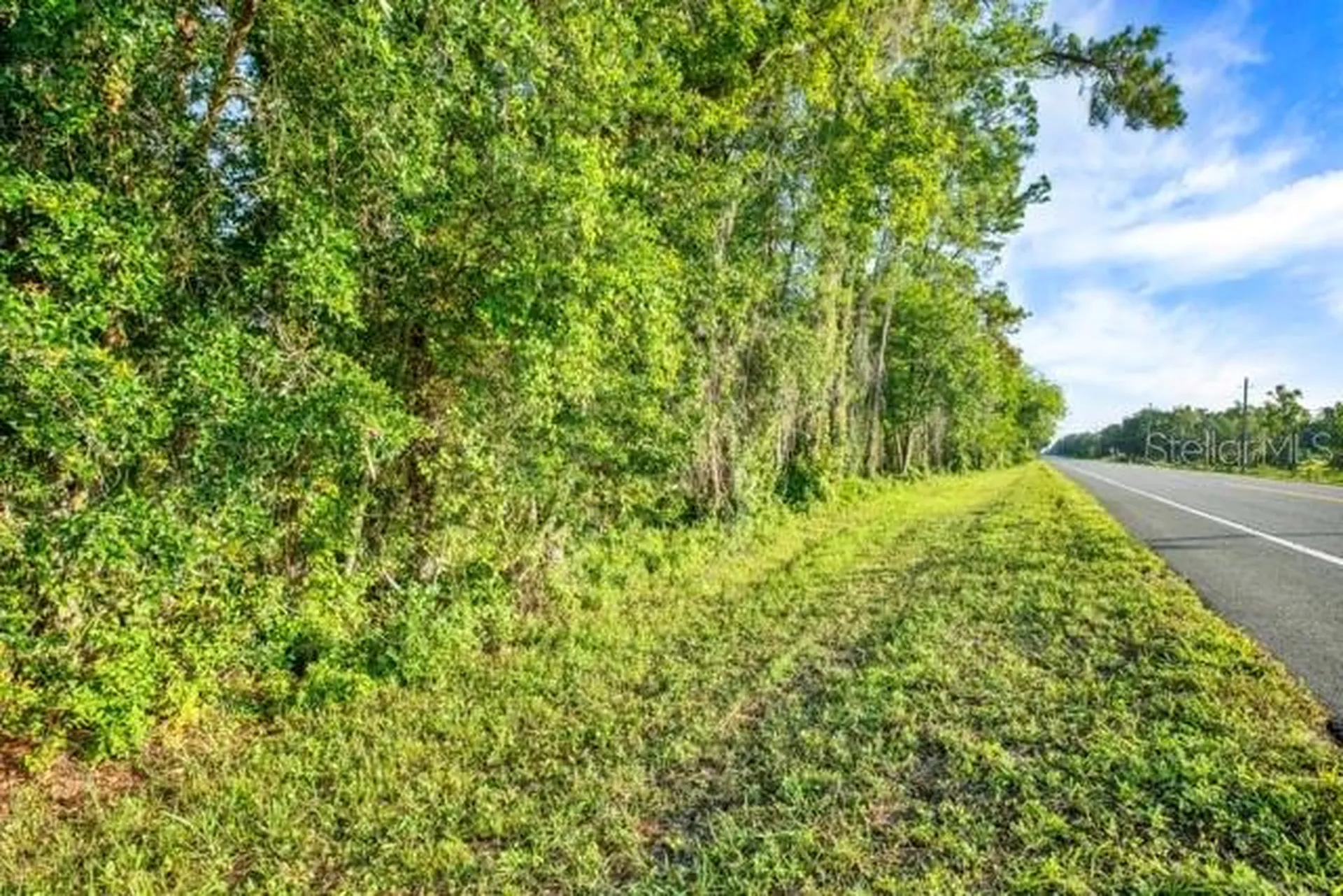 0 Treiman Boulevard Webster FL 33597