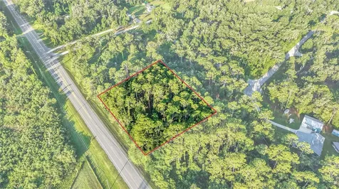 0 Treiman Boulevard Webster FL 33597