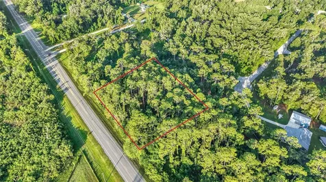 0 Treiman Boulevard Webster FL 33597