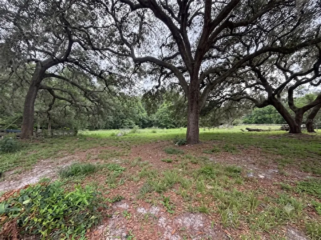 101 Allen Drive Palatka FL 32177