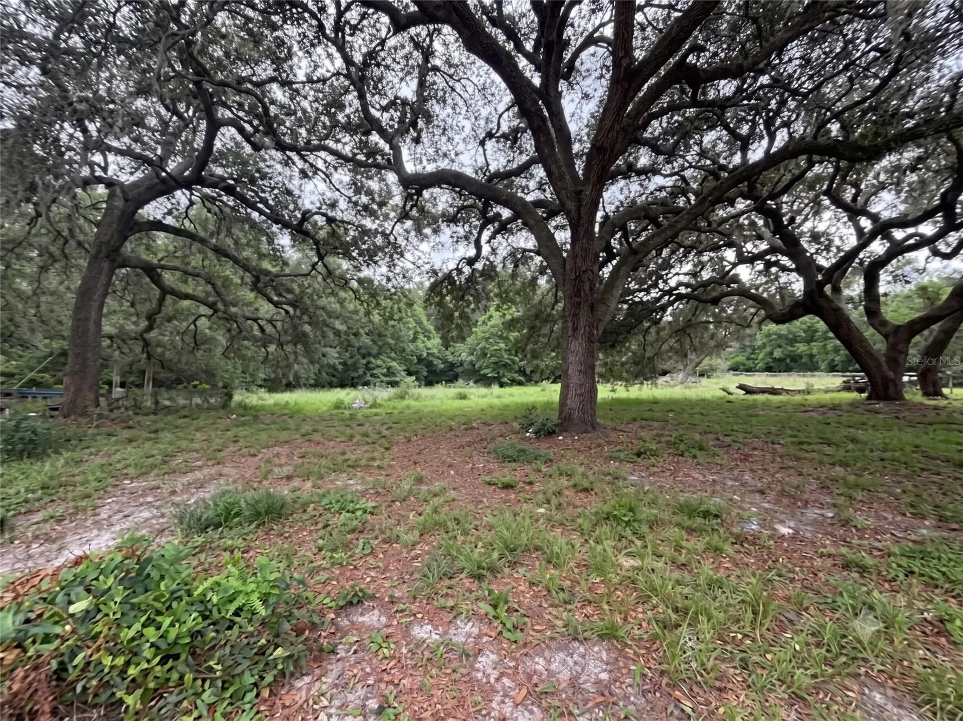 101 Allen Drive Palatka FL 32177