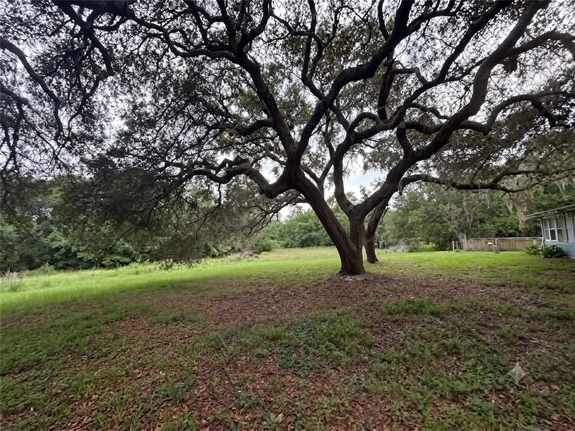 101 Allen Drive Palatka FL 32177